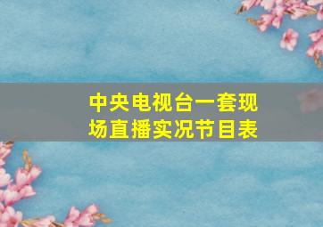 中央电视台一套现场直播实况节目表