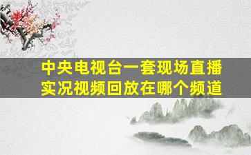 中央电视台一套现场直播实况视频回放在哪个频道