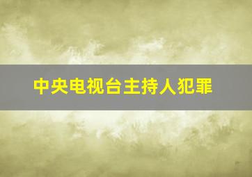 中央电视台主持人犯罪