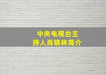 中央电视台主持人肖晓林简介