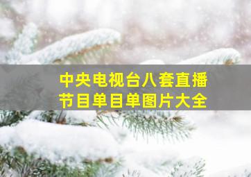 中央电视台八套直播节目单目单图片大全