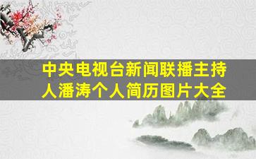 中央电视台新闻联播主持人潘涛个人简历图片大全