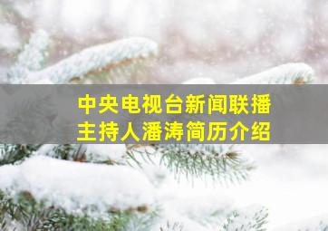 中央电视台新闻联播主持人潘涛简历介绍