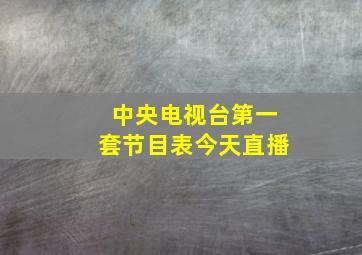 中央电视台第一套节目表今天直播