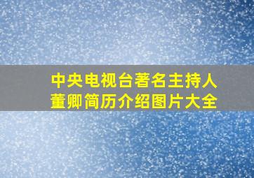 中央电视台著名主持人董卿简历介绍图片大全