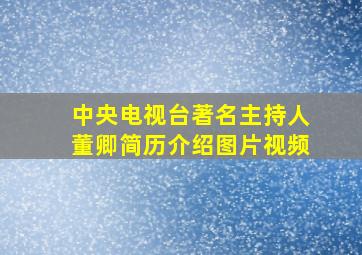 中央电视台著名主持人董卿简历介绍图片视频