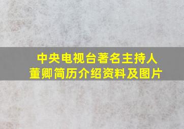 中央电视台著名主持人董卿简历介绍资料及图片