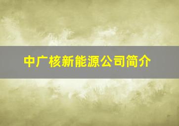 中广核新能源公司简介