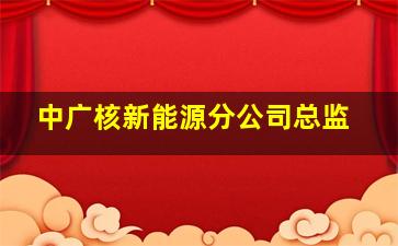 中广核新能源分公司总监