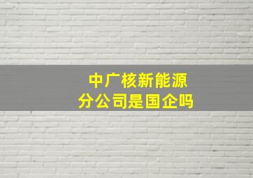 中广核新能源分公司是国企吗