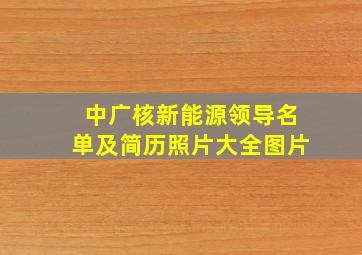 中广核新能源领导名单及简历照片大全图片