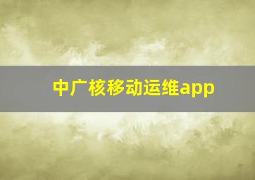 中广核移动运维app