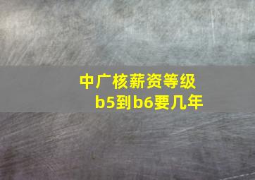 中广核薪资等级b5到b6要几年