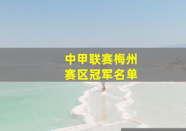 中甲联赛梅州赛区冠军名单