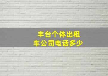 丰台个体出租车公司电话多少