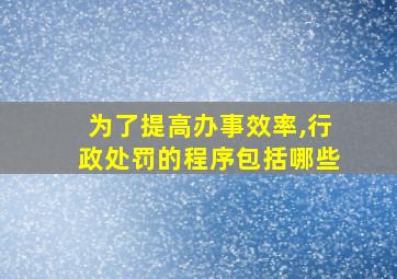 为了提高办事效率,行政处罚的程序包括哪些