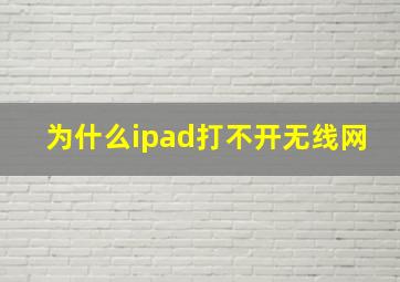 为什么ipad打不开无线网