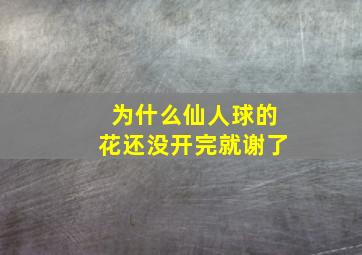 为什么仙人球的花还没开完就谢了