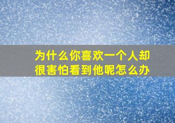 为什么你喜欢一个人却很害怕看到他呢怎么办