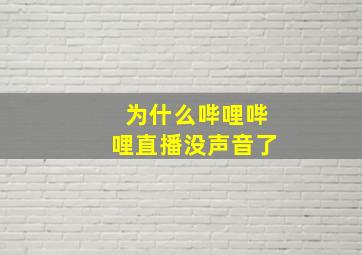 为什么哔哩哔哩直播没声音了