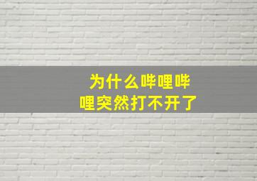 为什么哔哩哔哩突然打不开了