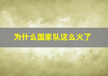 为什么国家队这么火了