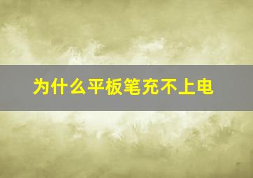 为什么平板笔充不上电