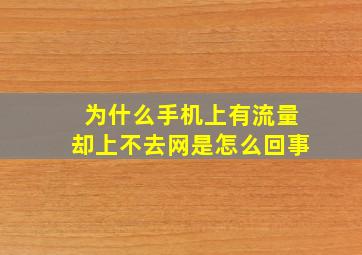 为什么手机上有流量却上不去网是怎么回事