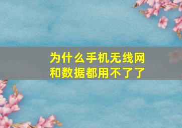 为什么手机无线网和数据都用不了了