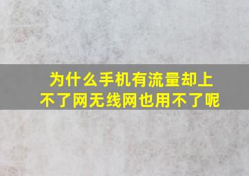 为什么手机有流量却上不了网无线网也用不了呢