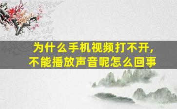 为什么手机视频打不开,不能播放声音呢怎么回事