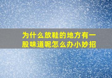 为什么放鞋的地方有一股味道呢怎么办小妙招