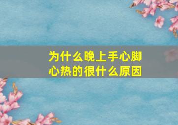 为什么晚上手心脚心热的很什么原因