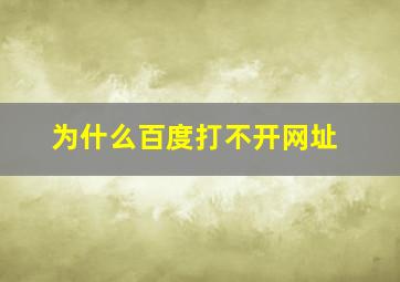 为什么百度打不开网址