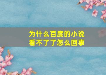 为什么百度的小说看不了了怎么回事