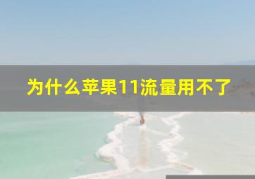 为什么苹果11流量用不了