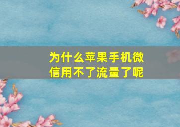 为什么苹果手机微信用不了流量了呢