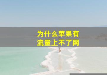 为什么苹果有流量上不了网