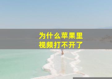 为什么苹果里视频打不开了