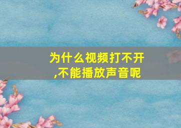 为什么视频打不开,不能播放声音呢