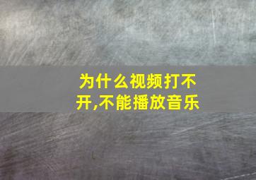 为什么视频打不开,不能播放音乐