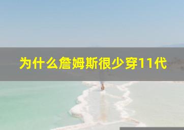 为什么詹姆斯很少穿11代