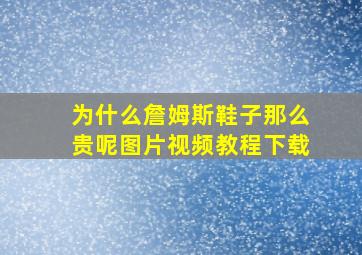 为什么詹姆斯鞋子那么贵呢图片视频教程下载