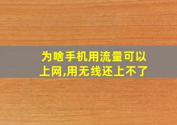 为啥手机用流量可以上网,用无线还上不了