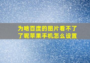 为啥百度的图片看不了了呢苹果手机怎么设置