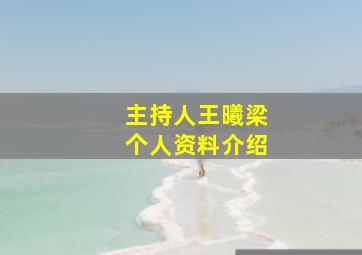 主持人王曦梁个人资料介绍