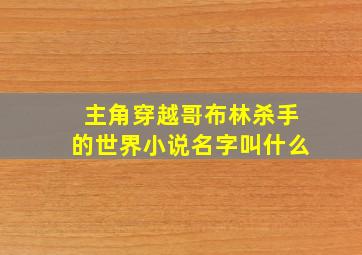 主角穿越哥布林杀手的世界小说名字叫什么