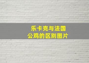 乐卡克与法国公鸡的区别图片