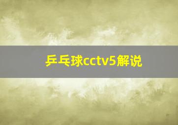 乒乓球cctv5解说