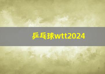 乒乓球wtt2024